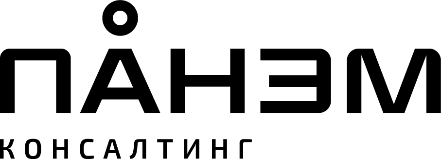 ПАНЭМ основная версия+консалтинг.png