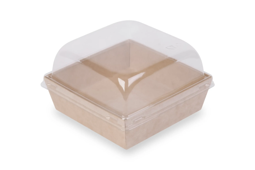 купольная прозрачная 300